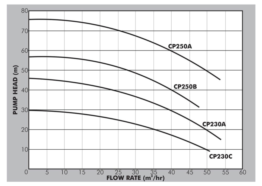CP Large Curves
