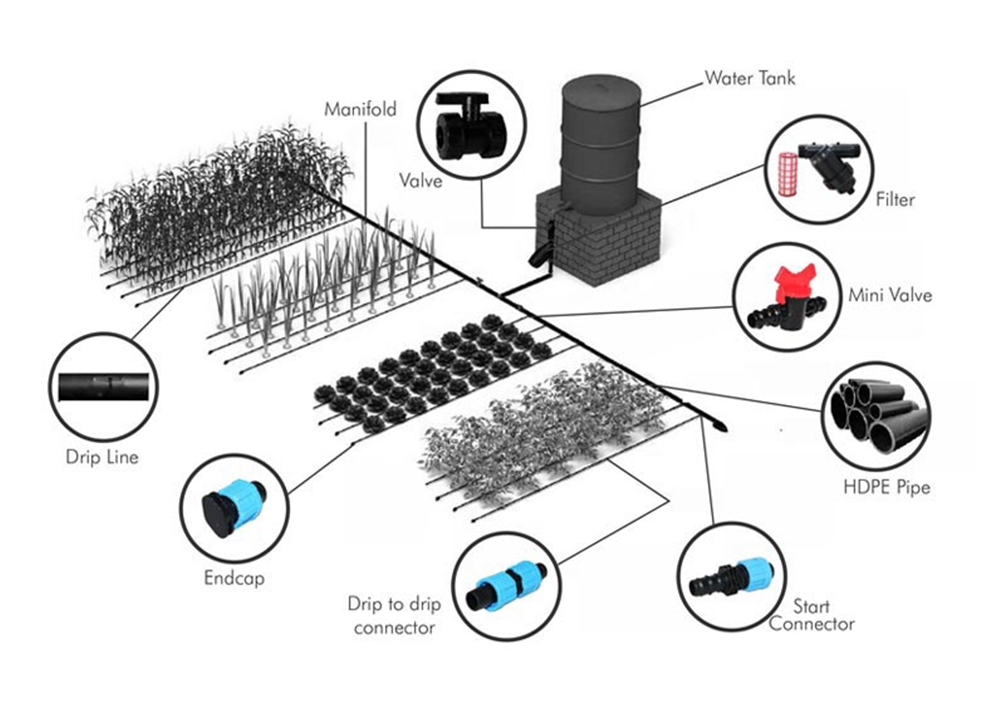 Drip Irrigation Schema
