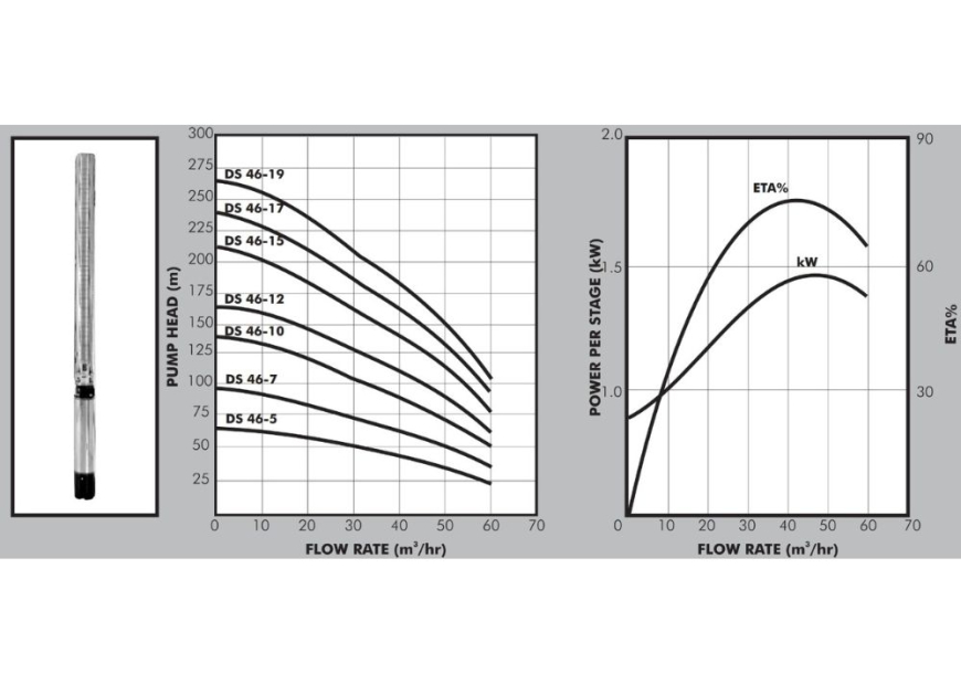 DS 46 Graph