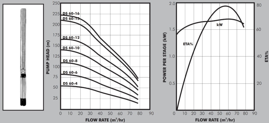 DS 60 Graph