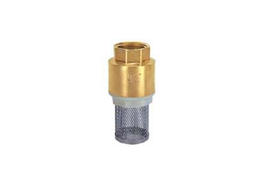 Foot Valve-Spring