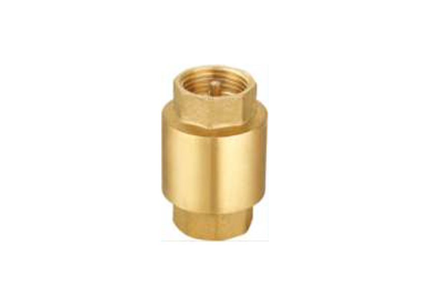 Non Return Valve-Spring