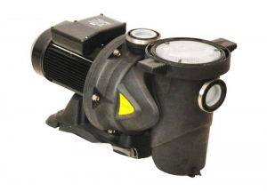 DAB Euroswim Pumps